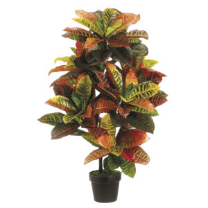 36" EVA Croton Plant in Black Plastic Pot Green