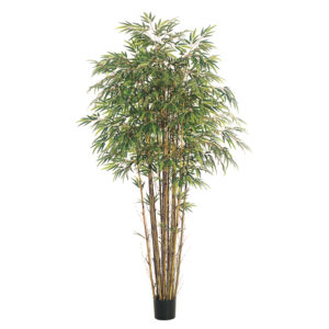 7' Natural Trunk Bamboo Tree x17 with 2560 Leaves in Pot Two Tone Green