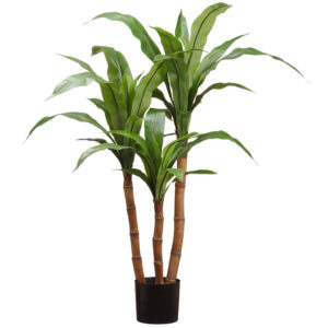39.3" Bird's Nest Fern Tree in Plastic Pot Green