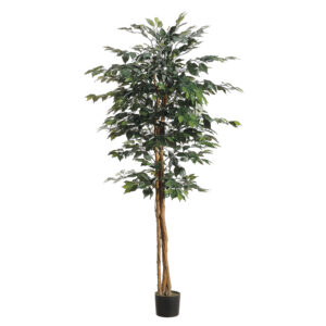 6' Ficus Tree with 1008 Leaves in Pot Green