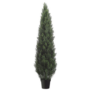 72" Cedar Topiary in Plastic Pot