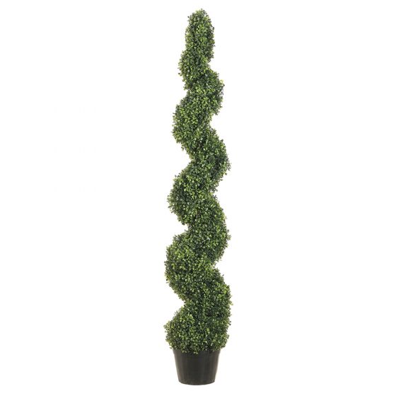5' Boxwood Spiral Topiary