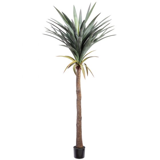74" Yucca Tree in Plastic Pot Green Gray